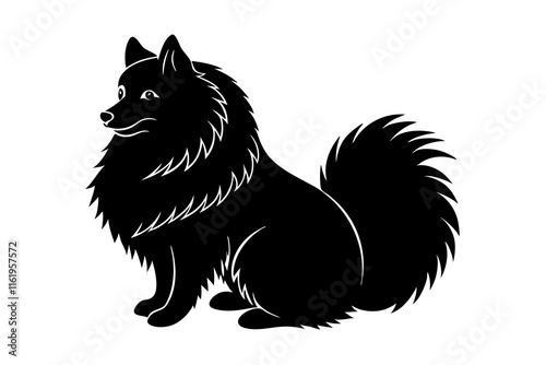 Silhouette of a Keeshond Sitting with a Fluffy Coat and Curled Tail