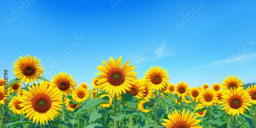 A field of yellow sunflowers with a blue sky in the background. The sunflowers are in full bloom and are arranged in a way that creates a sense of depth and perspective. The scene is peaceful