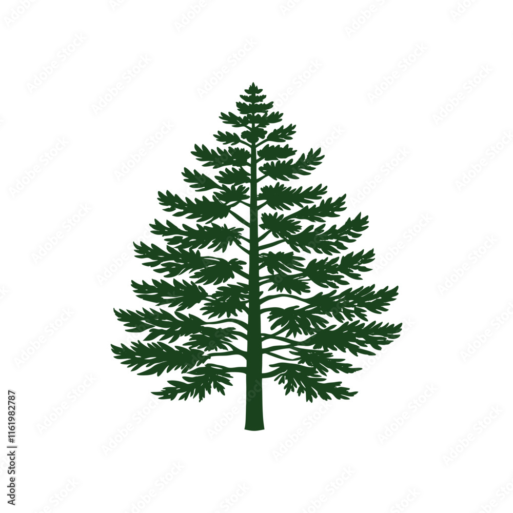 christmas tree isolated on white christmas tree isolated on white