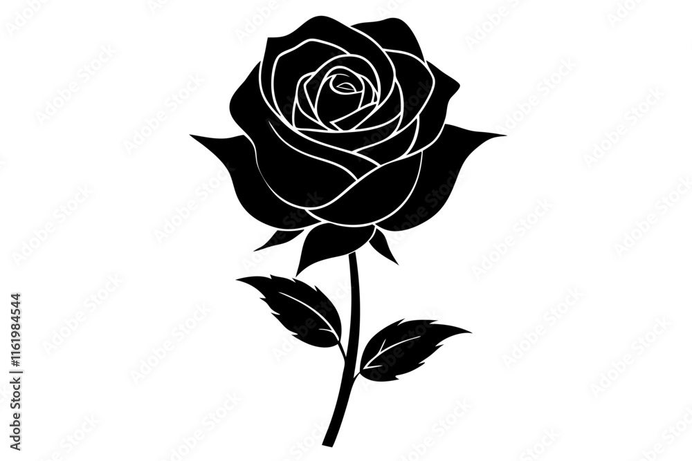 red rose isolated on white red rose isolated on white