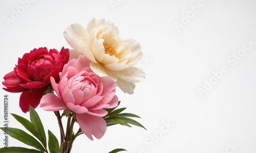 Chinese Peony (Paeonia lactiflora) The Chinese peony is a well-known symbol of wealth, prosperity, and good fortune in Chinese culture.