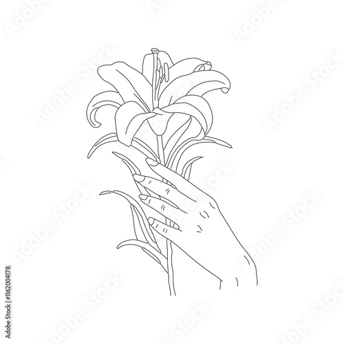 Illustration of a female hand gently holding a lily flower line art with editable stroke, lily flower's coloring book page 