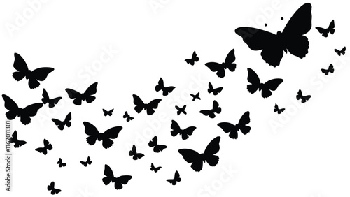 Swarm of Butterflies in the Sky