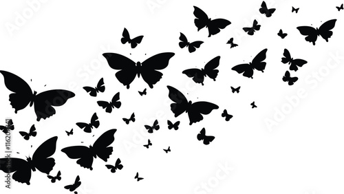 Swarm of Butterflies in the Sky