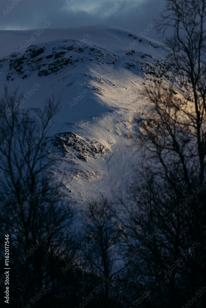 Golden Sunlight on a Snowy Mountain through Winter Trees Golden Sunlight on a Snowy Mountain through Winter Trees