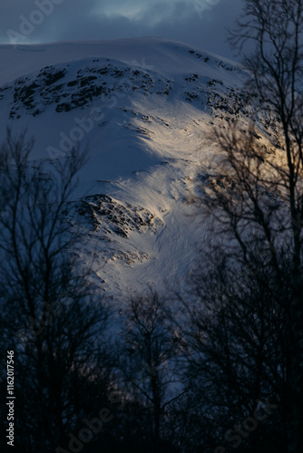 Golden Sunlight on a Snowy Mountain through Winter Trees