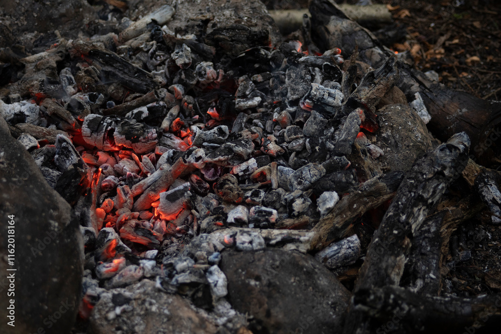 Coals in the fire. Hot coals. Details of a campfire in the woods. Coals in the fire. Hot coals. Details of a campfire in the woods.