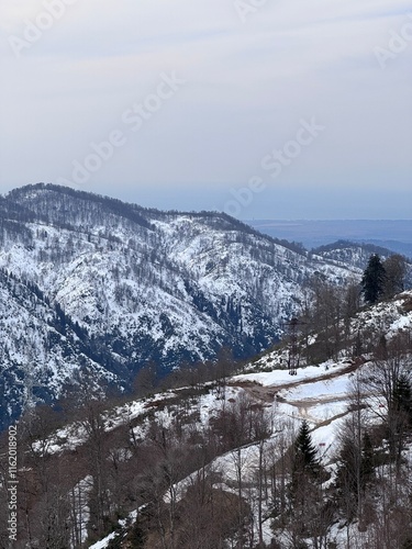 A mountain range covered in snow photo