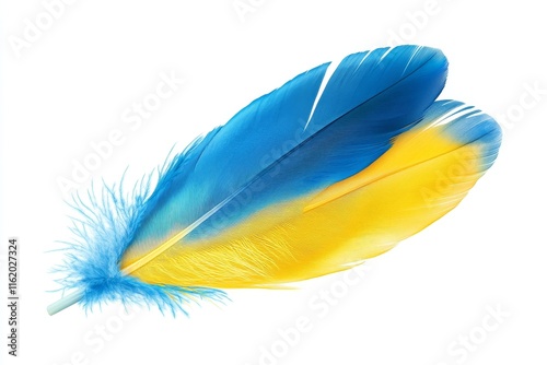 Two-toned blue and yellow bird feather isolated on white background. photo