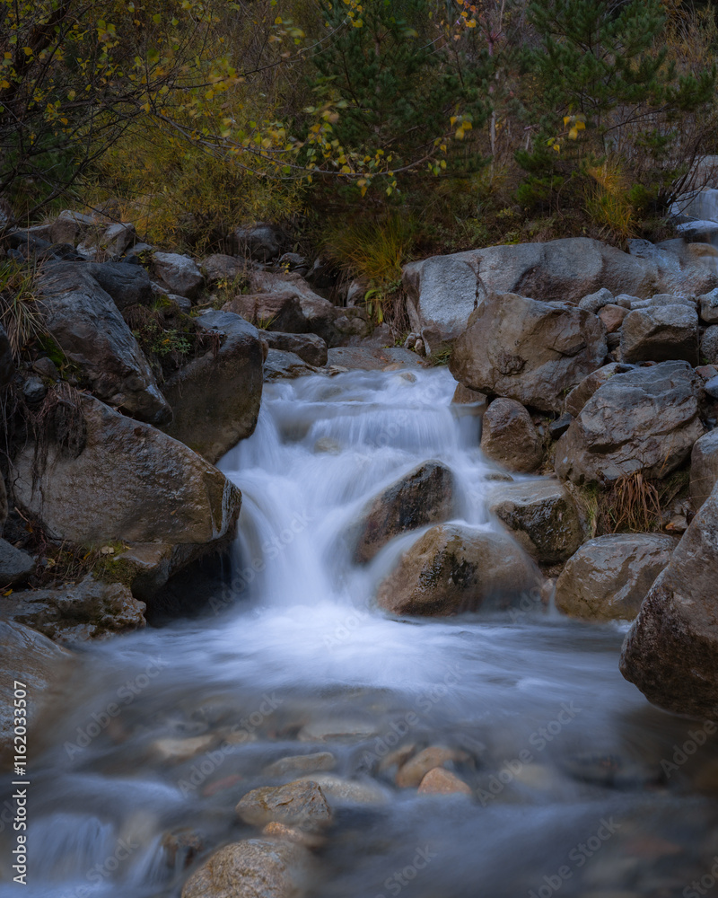 Basco Erillavall ravine in the Bohí Valley Basco Erillavall ravine in the Bohí Valley
