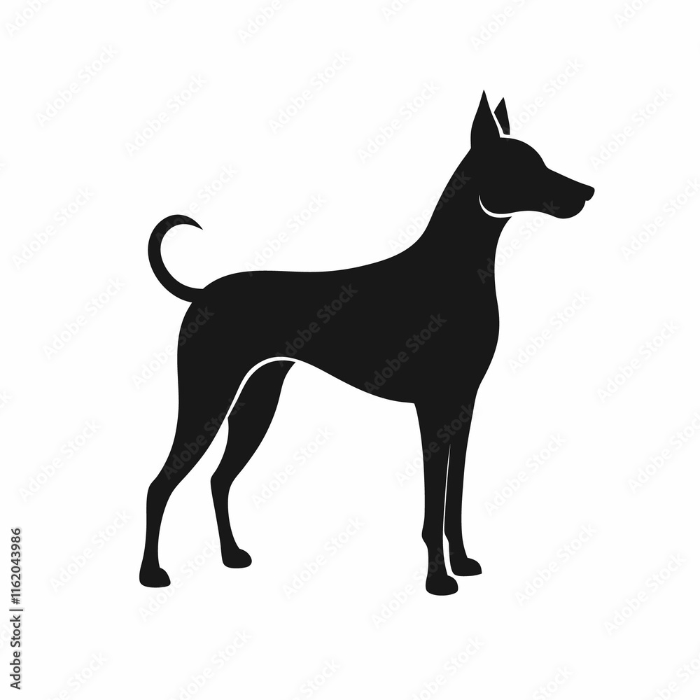 Obraz premium black and white dog