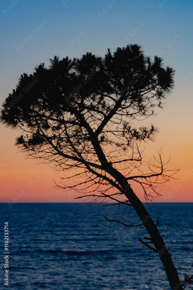 A peaceful and tranquil scene depicting a stunning sunset over the ocean, featuring a silhouetted tree along the shore