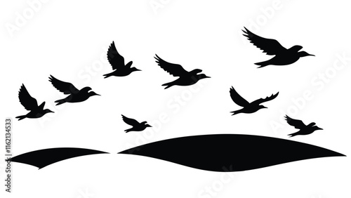 Silhouette of Birds at Sunset