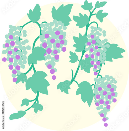 From Green to Purple The Grape Ripening Process. Ideal for educational content on viticulture, wine-making, or the growth cycle of grapes. Perfect for agricultural, food and beverage presentation.