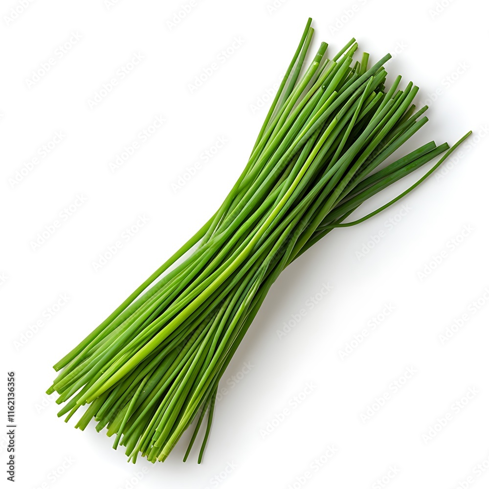 Harvesting fresh chives garden food photography outdoors close-up Harvesting fresh chives garden food photography outdoors close-up