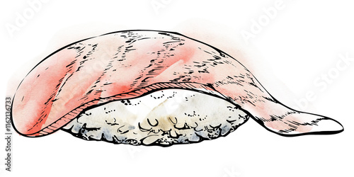 Traditional Japanese food, nigiri sushi raw fish on rice ball, tuna salmon seabass whitefin, hand drawn in watercolor, ink. Illustration for restaurant, cafe menu, kitchen print, cooking recipe book photo