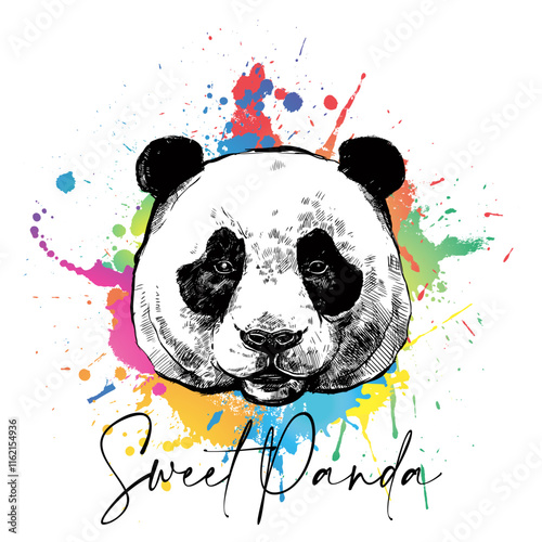 Sweet panda slogan graphic vector print lettering for t shirt print design photo