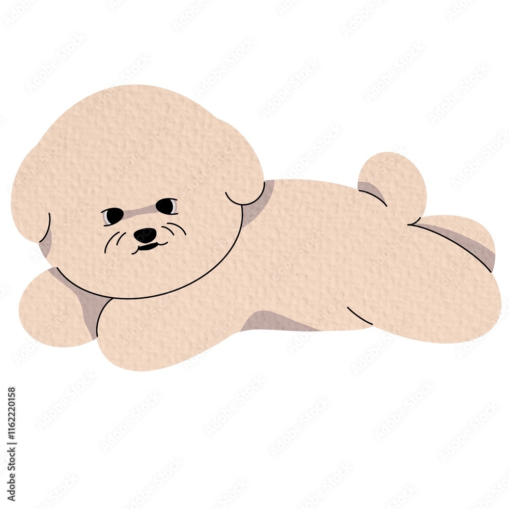 Bichon Frise puppy lying. Lovely companion pet, little baby dog. Adorable miniature pup. Flat vector illustration isolated on white background Bichon Frise puppy lying. Lovely companion pet, little baby dog. Adorable miniature pup. Flat vector illustration isolated on white background