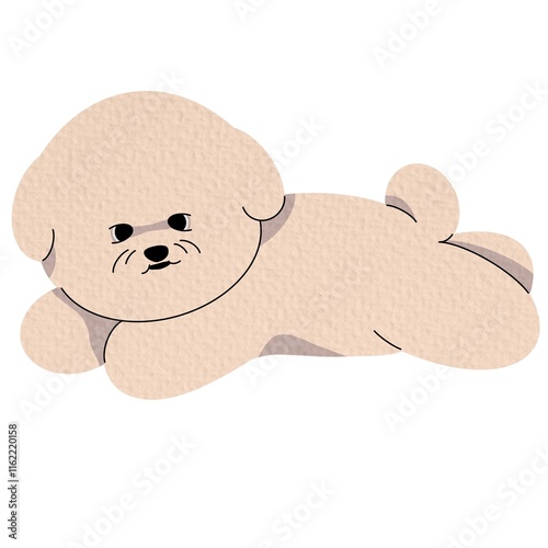 Bichon Frise puppy lying. Lovely companion pet, little baby dog. Adorable miniature pup. Flat vector illustration isolated on white background photo