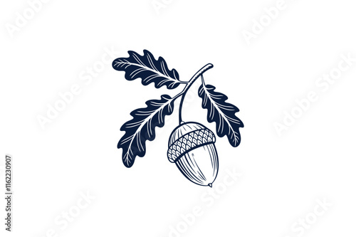 acorn with stems line art vector illustration on white background