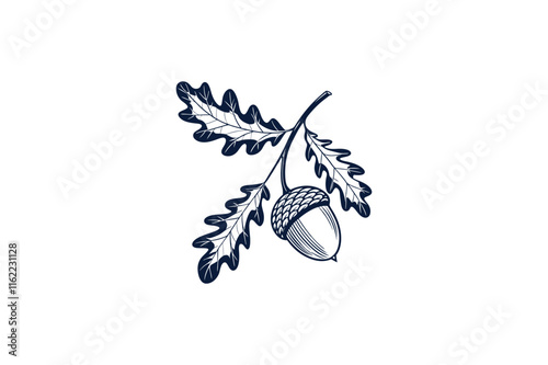 acorn with stems line art vector illustration on white background