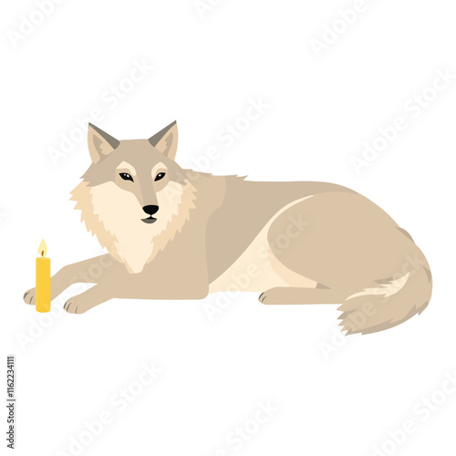 A sick wolf is laying down on a white background