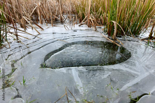 Eischicht auf der Oberfläche eines zugefrorenen Teichs photo