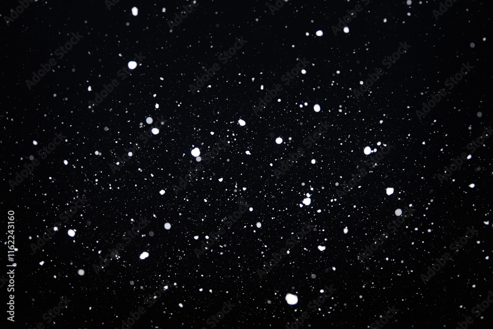 Fototapeta premium 눈