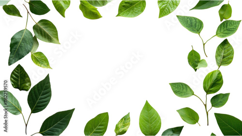 Pressed Leaf Square Frame on White Background, unique design showcasing nature's beauty in an elegant arrangement, perfect for decor photo