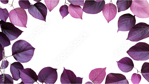 Purple Leaf Cluster Frame, square arrangement of vibrant purple leaves on a clean white background, showcasing natural elegance and creativity photo