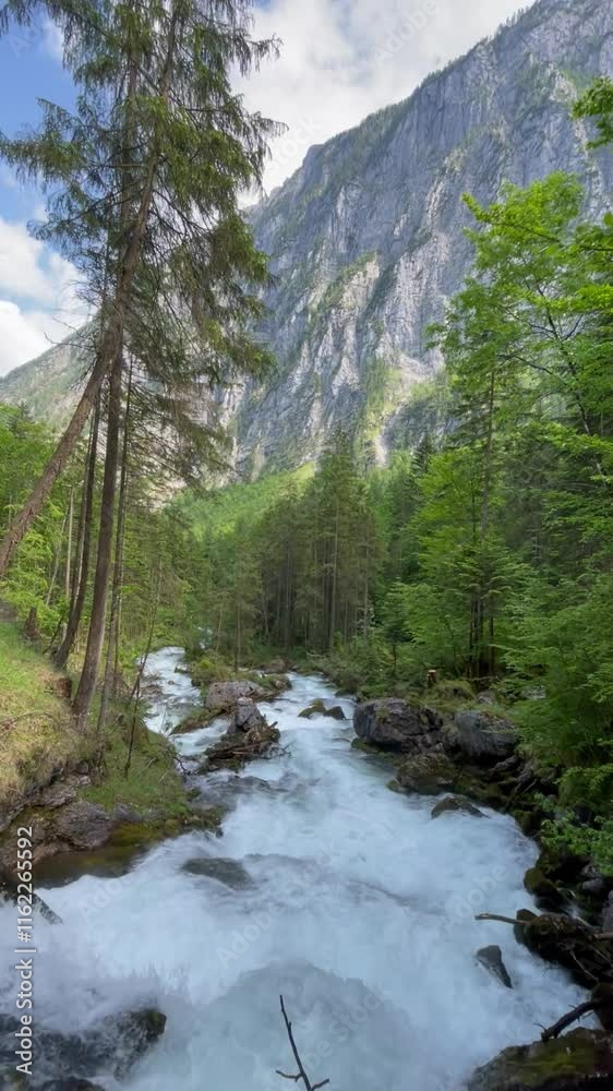 Vertical screen: A pristine mountain stream flows rapidly through a lush forest, surrounded by moss-covered rocks and towering trees. The crystal-clear water creates a serene and refreshing natural sc Vertical screen: A pristine mountain stream flows rapidly through a lush forest, surrounded by moss-covered rocks and towering trees. The crystal-clear water creates a serene and refreshing natural sc