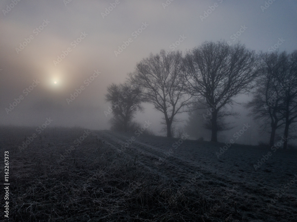 Frostige Winterlandschaft in der Eifel Frostige Winterlandschaft in der Eifel