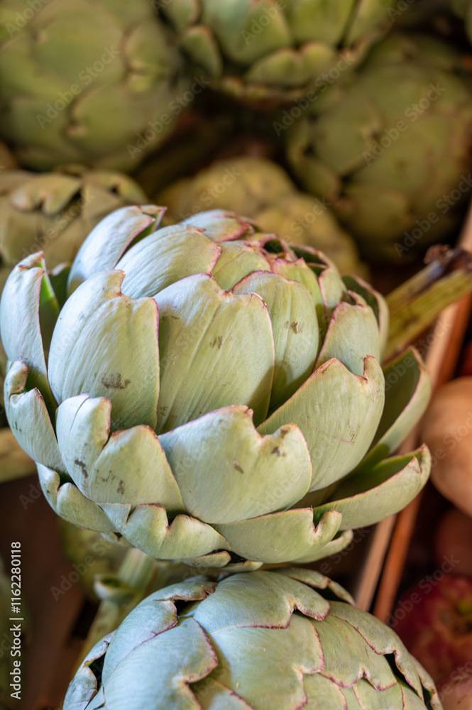 Fresh ripe green organic artichokes heads on local farmers market in Dordogne, France Fresh ripe green organic artichokes heads on local farmers market in Dordogne, France