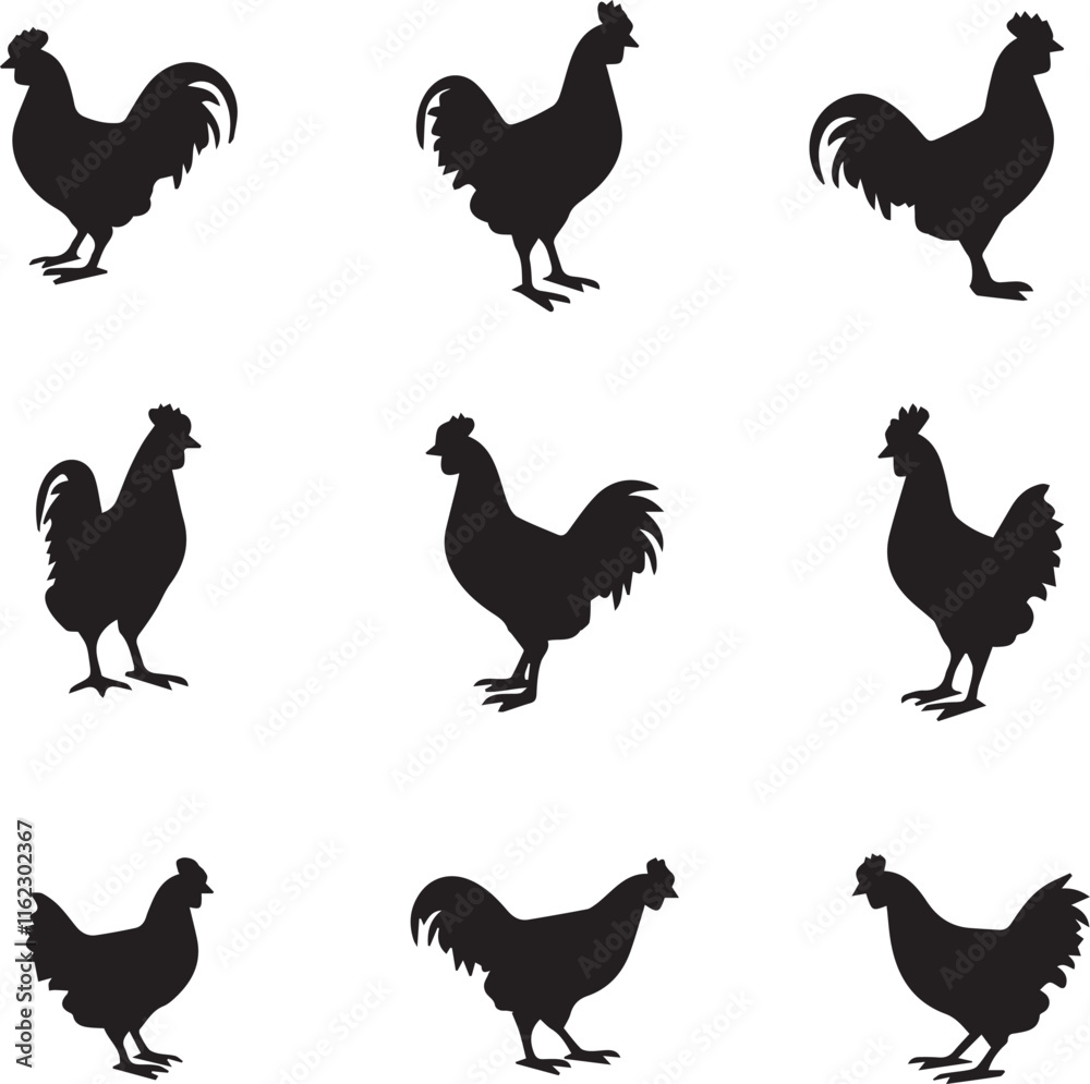 Fototapeta premium set of silhouettes of chicken