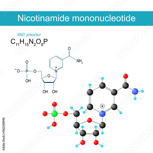 NMN molecule. Nicotinamide mononucleotide. photo