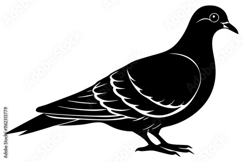 Mourning Dove Silhouette Vector Illustration photo