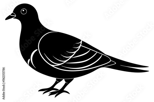 Mourning Dove Silhouette Vector Illustration photo