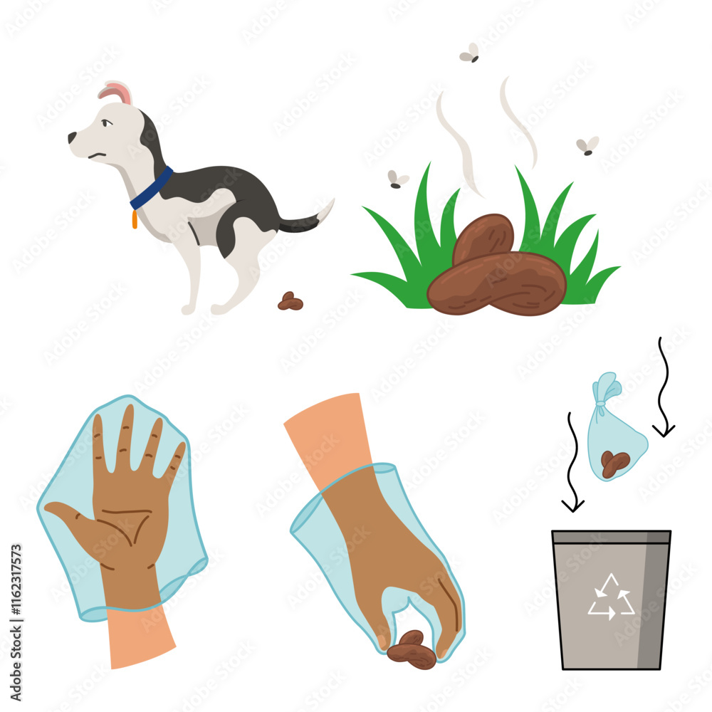 Dog poo clean up steps infographic set. Vector poster about hygiene animal, toilet cleaning information after your dog. Pick up poo after pets, picking waste in canine bag and throw in the trash