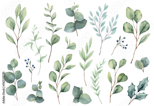 Watercolor vector set with green eucalyptus leaves and branches. Greenery clipart for wedding invitation, greeting cards, save the date, stationery design. Hand drawn illustration.