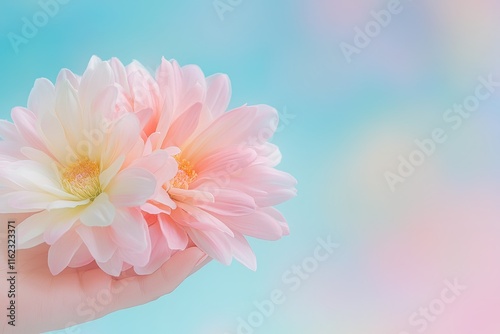 Delicate Hand Cradles Vibrant Flower Crown Against a Soft Pastel Backdrop in Tranquil Setting