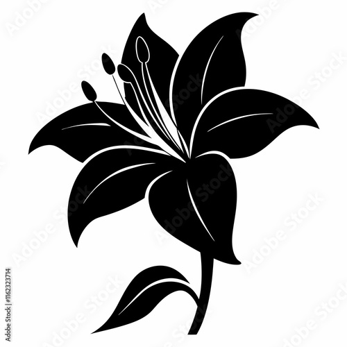 Lily Serenity black silhouette vector