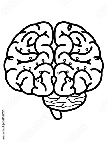 illustration  brain