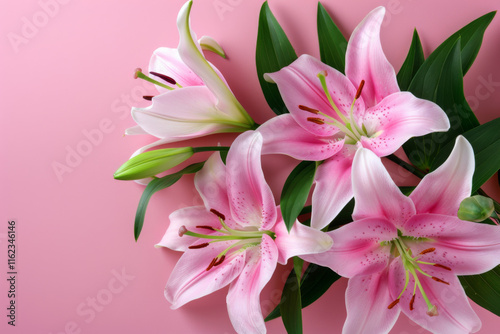 Beautiful pink lilies arranged elegantly on a soft pink background