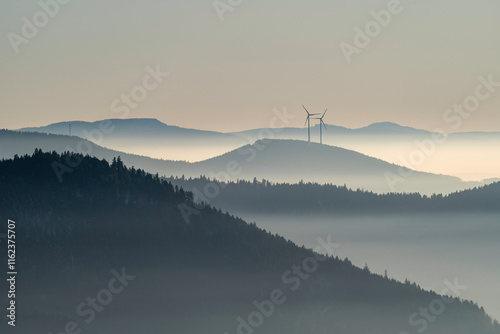 Foto Aussicht über den Nordwarzwald beim Lotharpfad bei Inversion