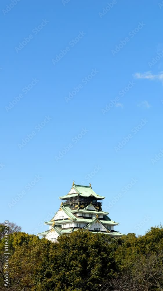 青空の下の大阪城　縦型動画