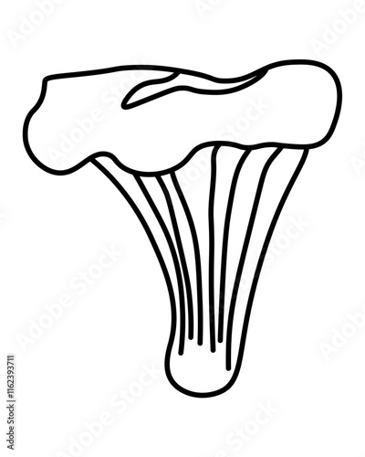 Chanterelle popular edible mushroom outline, element growing in forest for coloring page