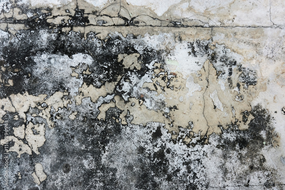 Naklejka premium concrete wall texture