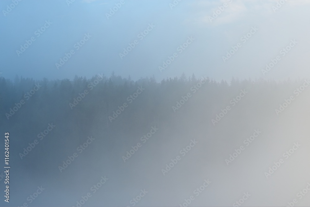 Thick fog over the coast of Valaam Island. Thick fog over the coast of Valaam Island.