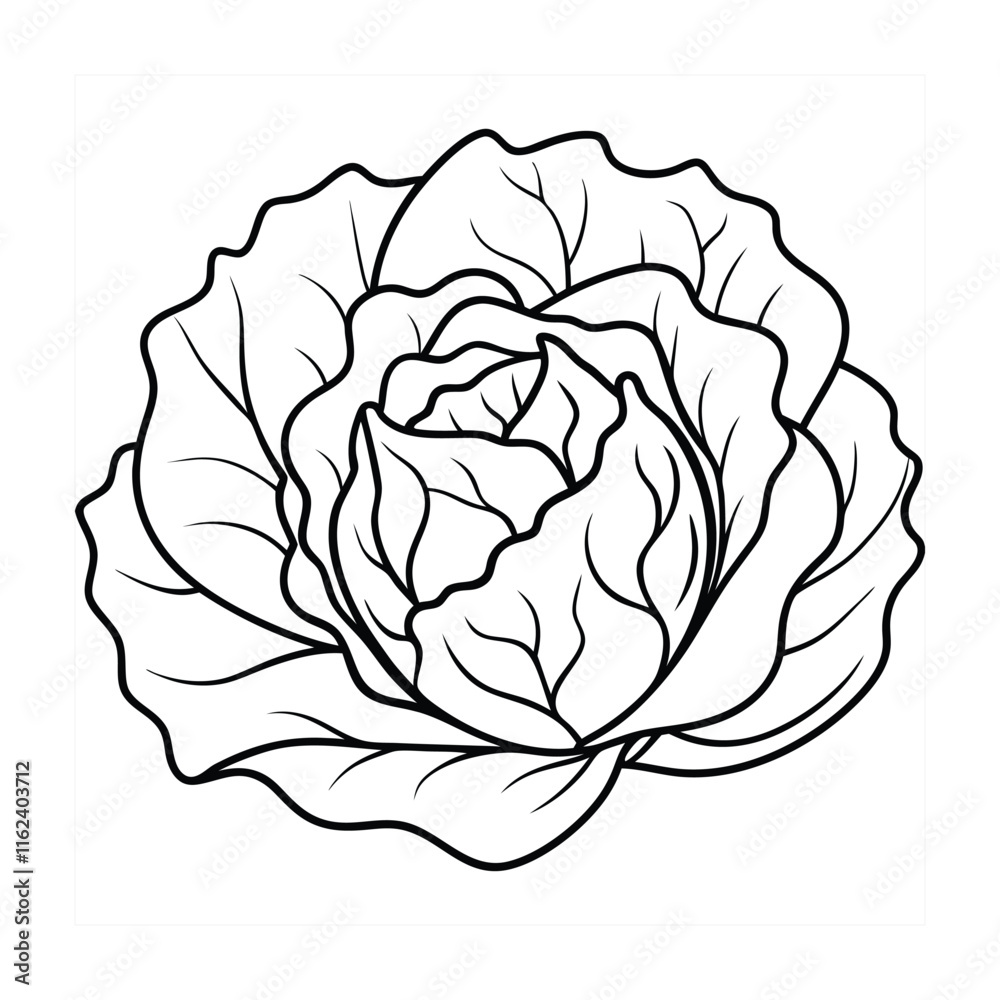 Obraz premium Vegetable coloring pages