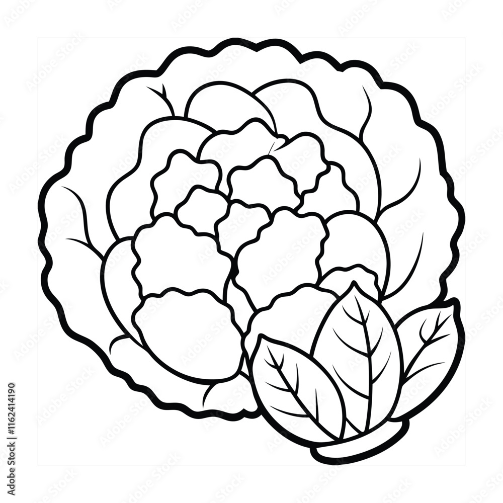 Vegetable coloring pages